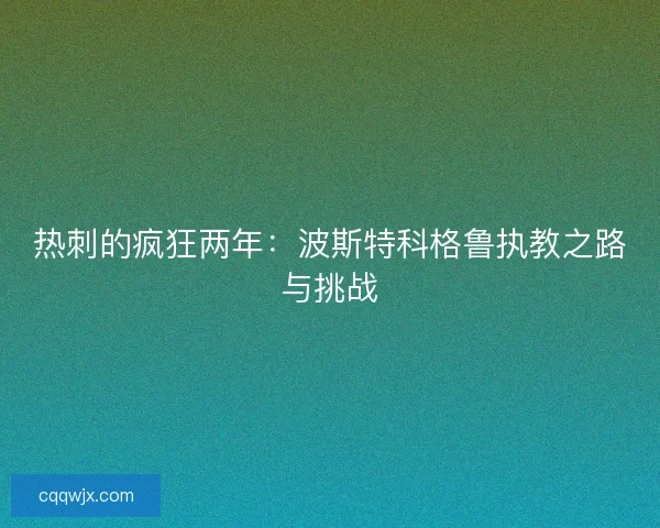 热刺的疯狂两年：波斯特科格鲁执教之路与挑战