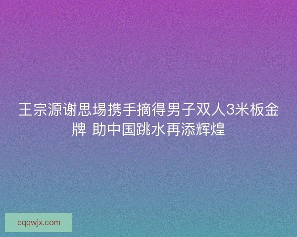 王宗源谢思埸携手摘得男子双人3米板金牌 助中国跳水再添辉煌