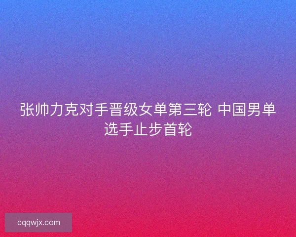 张帅力克对手晋级女单第三轮 中国男单选手止步首轮