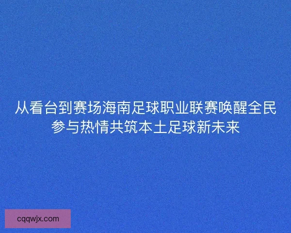 从看台到赛场海南足球职业联赛唤醒全民参与热情共筑本土足球新未来